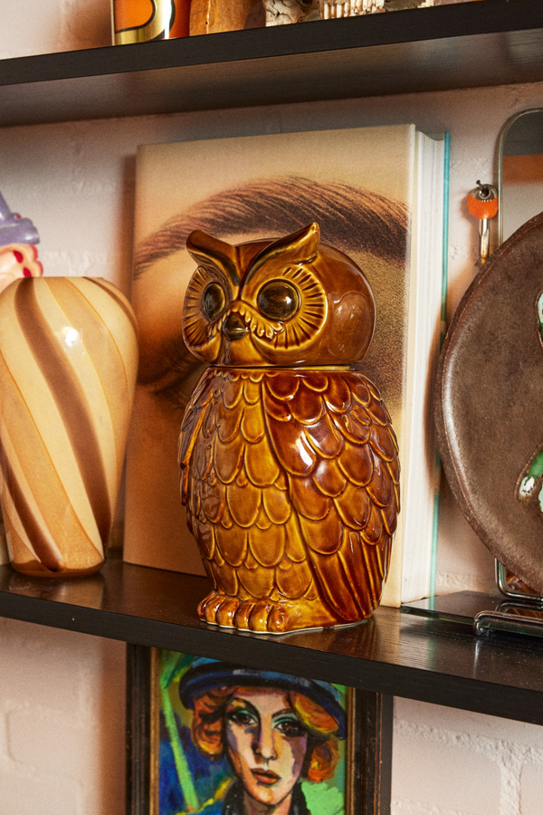 HKLIVING ® | Ceramic Roasted Brown Owl Jar