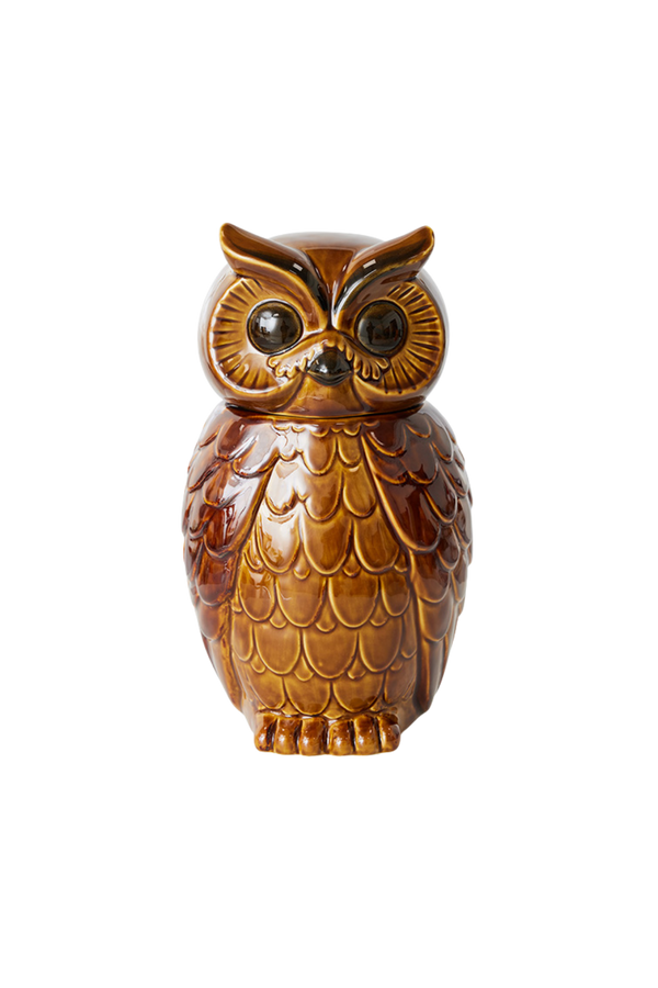 HKLIVING ® | Ceramic Roasted Brown Owl Jar