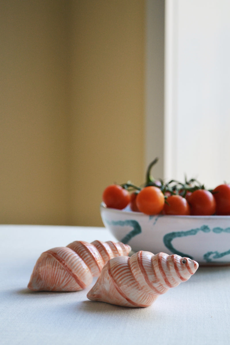 Salt and Pepper Shell Shakers