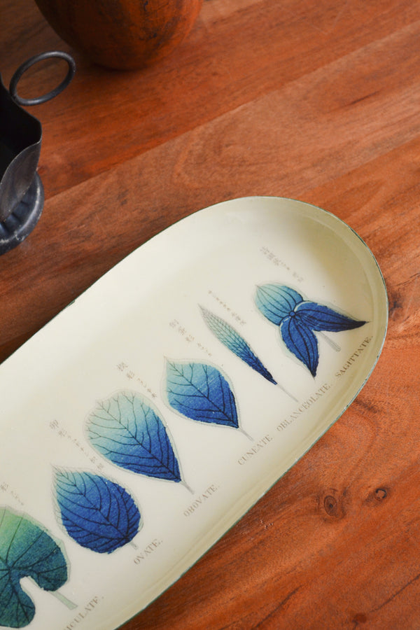 Enamel Printed Trinket Tray - Shapes of Leaves