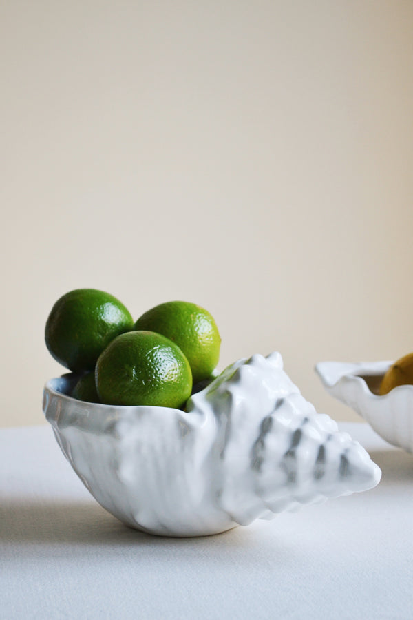 White Shell Bowl