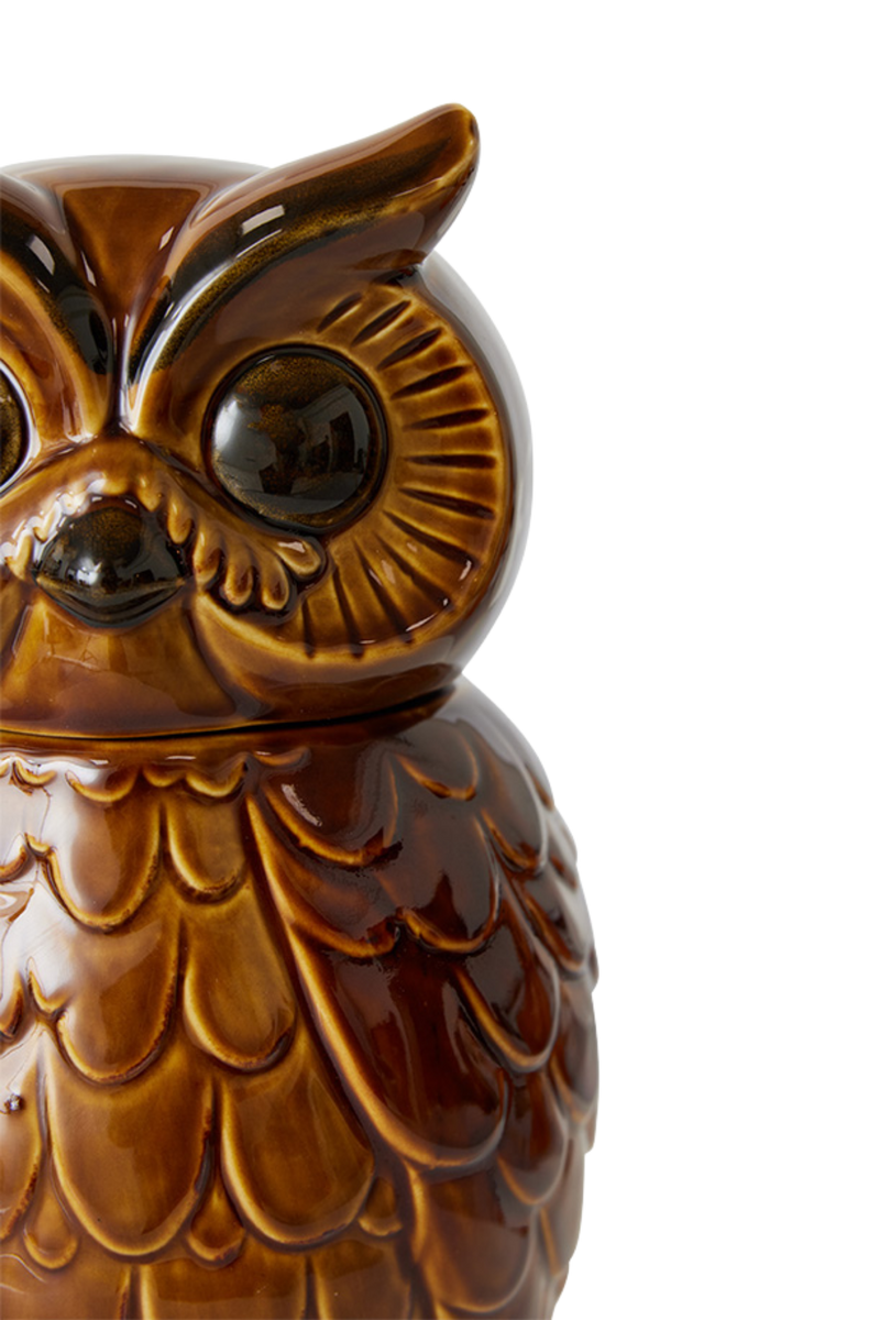 HKLIVING ® | Ceramic Roasted Brown Owl Jar