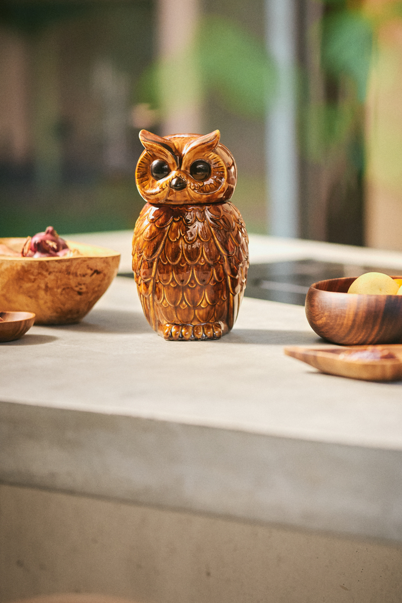 HKLIVING ® | Ceramic Roasted Brown Owl Jar
