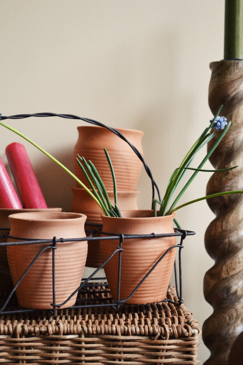 Set of Six Terracotta Pots with Iron Basket