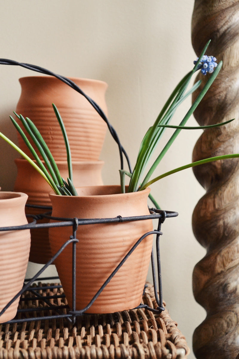 Set of Six Terracotta Pots with Iron Basket