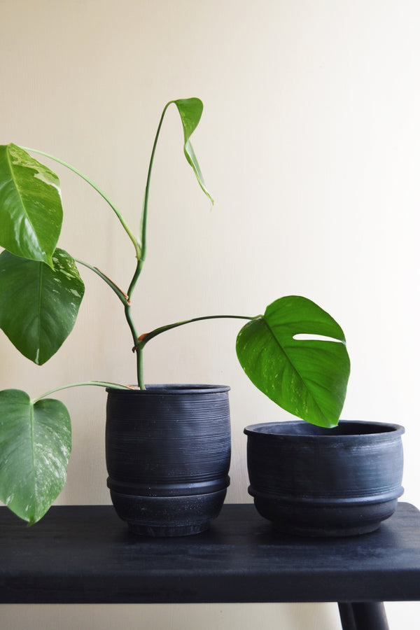 Dark Grey / Black Lined Concrete Planter - Two Sizes Available