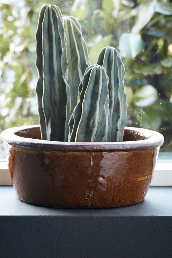 Mustard Low Glazed Planter - Small