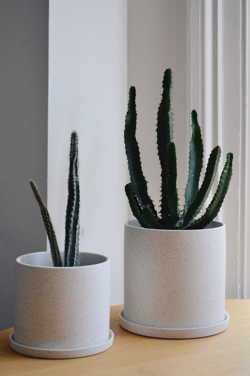 Set of Two White Ceramic Pots with Saucers