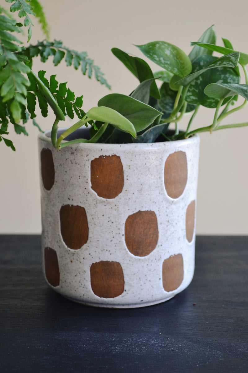 Deco Plant Pot - Two Styles Available