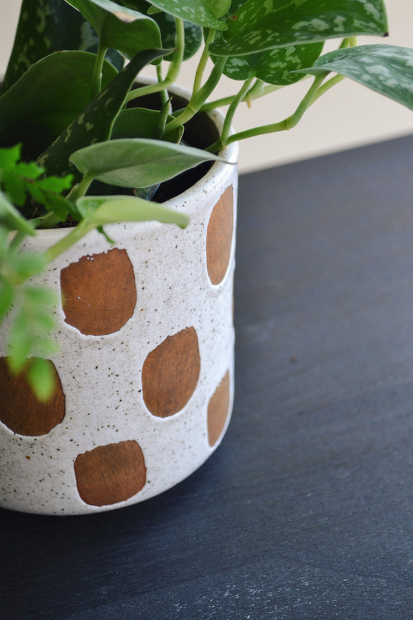 Deco Plant Pot - Two Styles Available