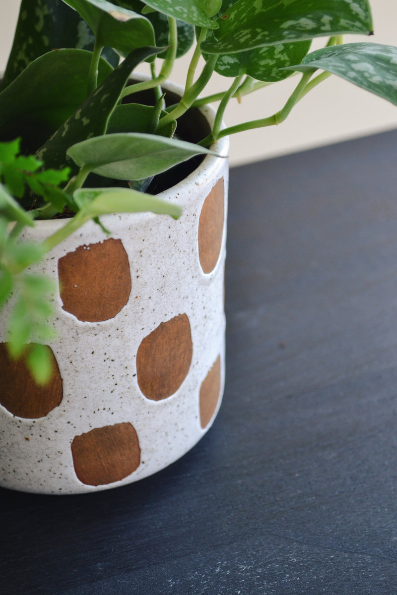 Deco Plant Pot - Two Styles Available