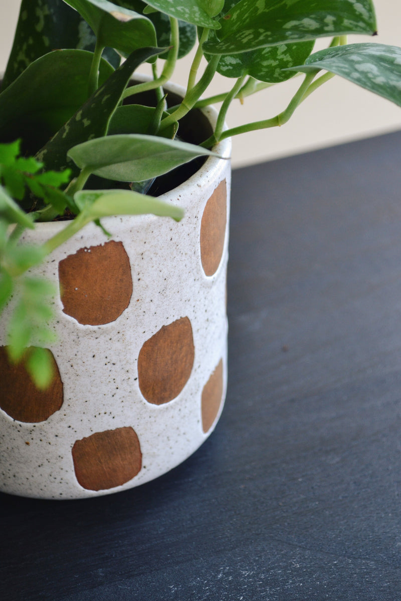 deco plant pot Deco Plant Pot