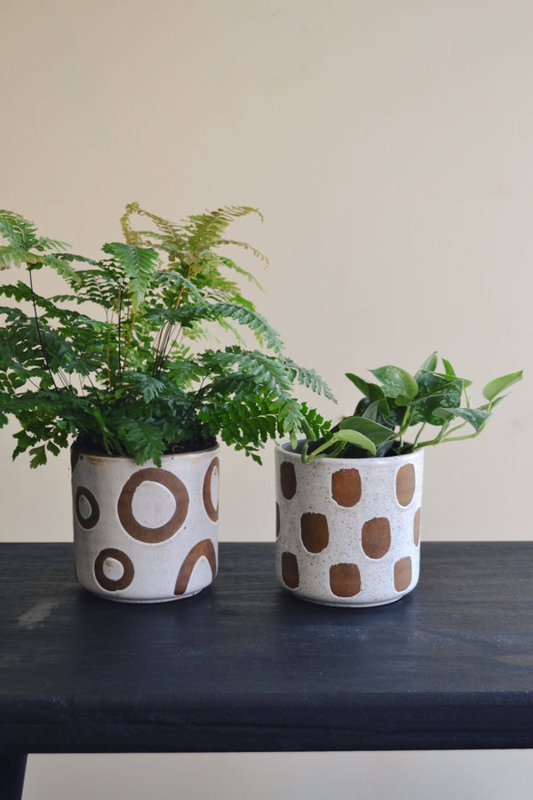 Deco Plant Pot - Two Styles Available