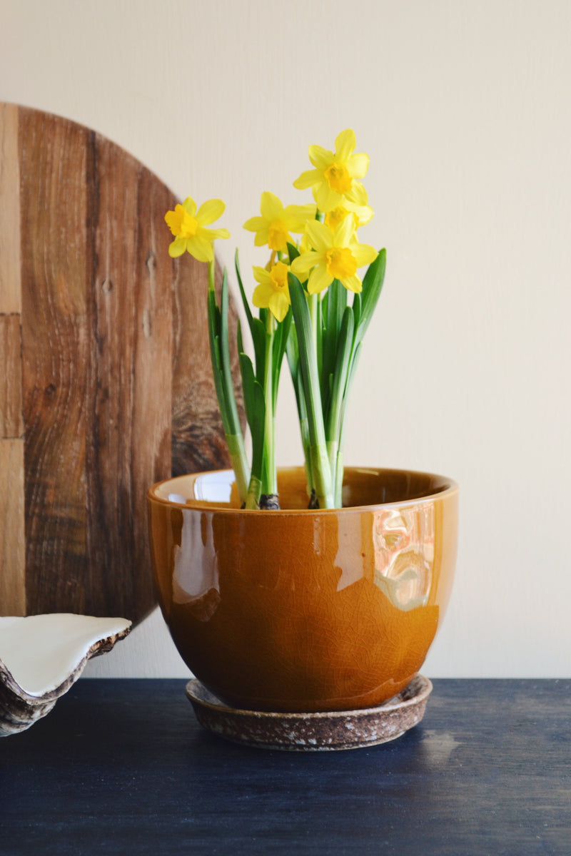 Glazed Flowerpot With Saucer - Two Colours Available