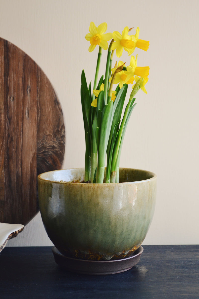 Glazed Flowerpot With Saucer - Two Colours Available