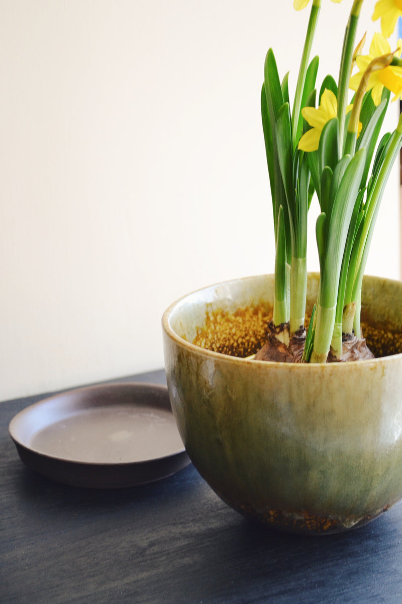 Glazed Flowerpot With Saucer - Two Colours Available