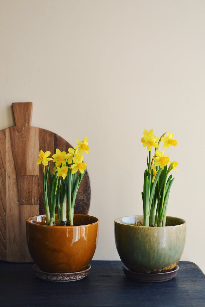 Glazed Flowerpot With Saucer - Two Colours Available