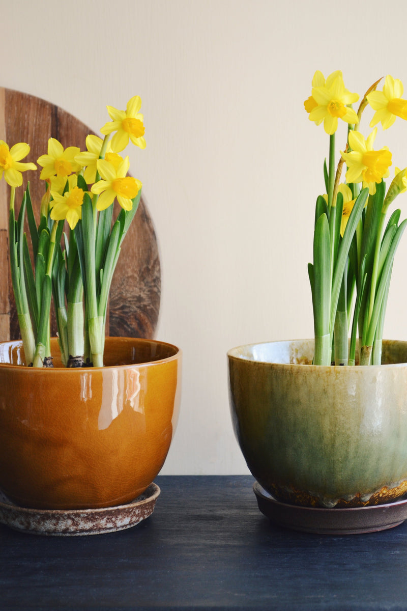 Glazed Flowerpot With Saucer - Two Colours Available