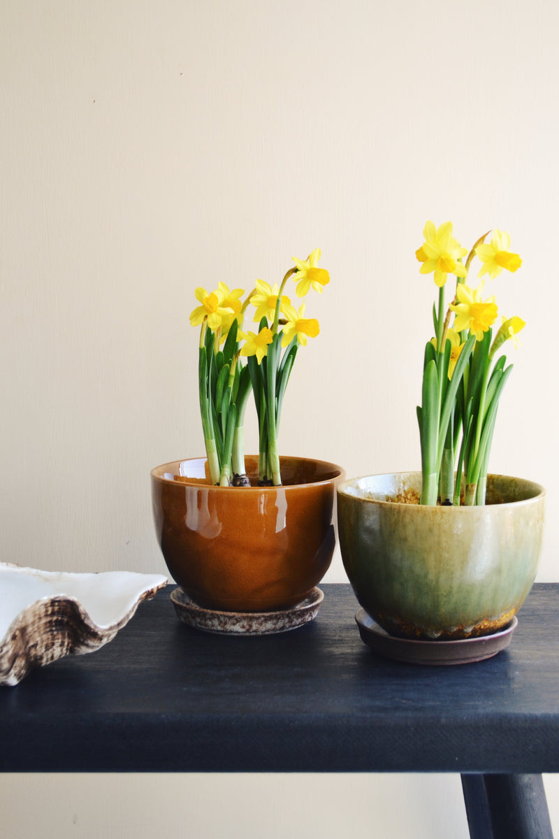 Glazed Flowerpot With Saucer - Two Colours Available
